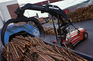 Machinery Prints: Logs loaded in pulp mill with Svetruck TMF forklift grapple, Sweden