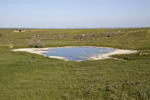 Plateau Prints: After a long spell of rain the small ponds on the high plateau of the Belen Plains are full