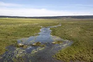 Flood Prints: After a long spell of rain the small streams on the high plateau of the Belen Plains are in full flow