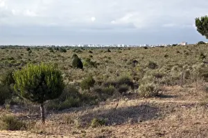 Encroaching Prints: Looking over the Coto Donana National park to the encroaching holiday resort of Matalascanas