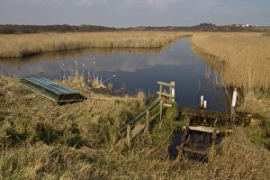 Drainage Prints: Looking north to Dunwich over reed bed and dyke at RSPB Minsmere