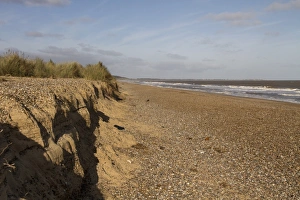 Sand Prints: Looking north along Minsmere beach towards Southwold, Suffolk