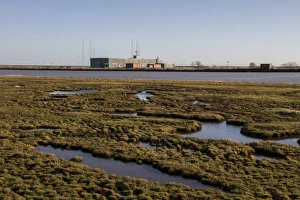 Radio Prints: Looking over salt marsh on the edge of the River Alde