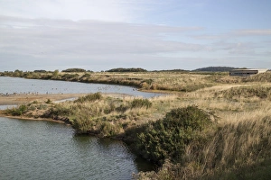 Roost Prints: Looking from Sanctuary hide at RSPB Snettisham to Roost hide