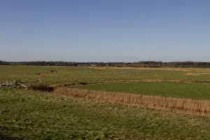 Looking west from the sea wall near Orford over Sudbourne Marshes - Suffolk