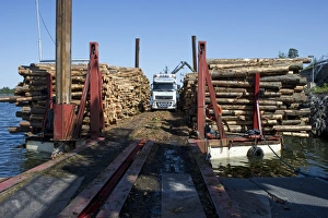 Transports Prints: Lorry with grapple loading logs onto timber barge