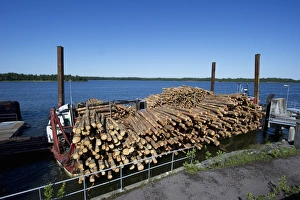 Lorry with grapple loading logs onto timber barge, Archipelago Sea, Baltic Sea, Sweden, june