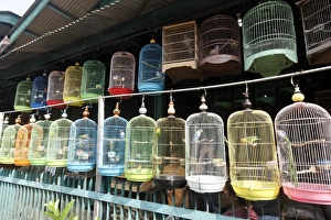 Parrot Prints: Lovebirds in cages for sale at market