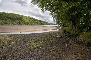 Reservoirs Prints: Low water level at reservoir, Fewston Reservoir, North Yorkshire, England, may