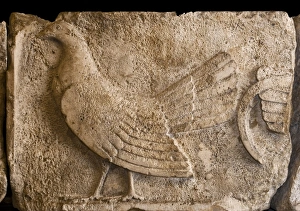 Chickens Prints: Lycian frieze depicting cockerel (Lycian tradition to sacrifice cockerels and make sacrificial offerings to deceased)