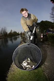 Caught Prints: Man rescuing fish after run-off water from fire-fighting operation reduced oxygen levels in canal