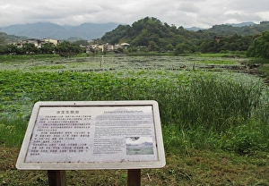 Oriental Prints: Manmade Ecological Pond with interpretation notice
