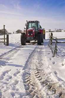 Massey Ferguson 5465 tractor with slurry tanker in snow, Chipping, Lancashire, England, January