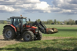 Stones Prints: Massey Ferguson 6290 tractor with front loader forks