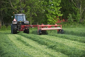 Cultivate Prints: Massey Ferguson tractor with Kverneland mower, cutting grass silage crop, Sweden, june