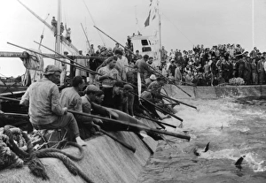 Photography Prints: Mattanza tuna fishing, Sicily, Italy, 1958 (Kurt Drost)