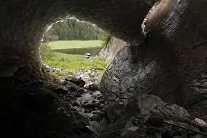Melts Prints: Melt hole under snow patch, in temperate coastal rainforest