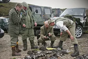 Shot Prints: Men counting bag of shot Red Grouse (Lagopus lagopus scoticus) after driven day on moor