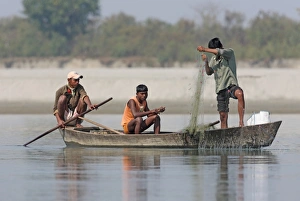 Nets Prints: Three men fishing from boat with net on river, Dibru-Saikhowa, Assam, India, february