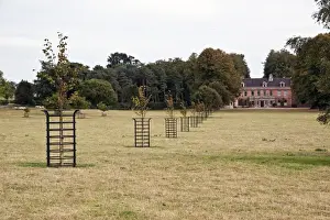Frame Prints: Metal tree protectors, stop livestock from damaging young trees on parkland