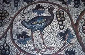 Archaeology Prints: Middle East/Israel Archaeology - Mosaics on the floor of convent of St