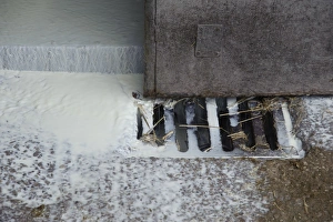 Milk going down drain on dairy farm, Cheshire, England, march
