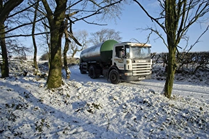 Lorries Prints: Milk tanker driving down snow covered farm track, Whitewell, Lancashire, England, november