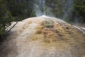 Geothermal Prints: Mineral deposits at hotspring, Mound Terrace