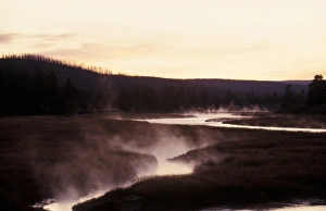 Mists Prints: Mist Early morning mist rising from Madison River, Yellowstone, USA