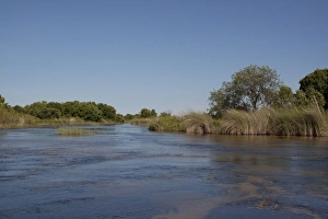 Delta Prints: the Monachena River. Okavango Delta, Botswana