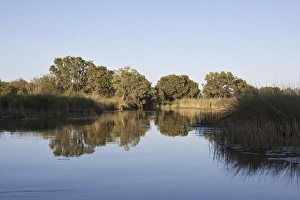 the Monachena River. Okavango Delta, Botswana