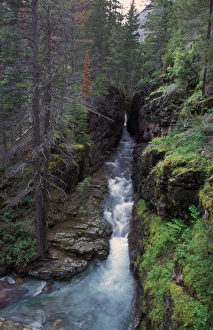 Montana Sunrift Gorge, Glacier National Park, Montana, USA