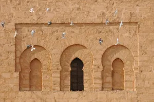 Window Prints: Mosque windows with Feral Pigeon (Columba livia) flock in flight