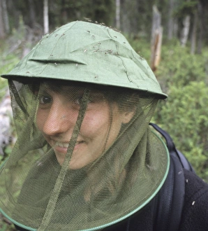 Protects Prints: Mosquito (Culicidae sp. ) swarm