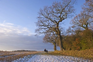Walk Prints: Mother and son walking on snow beside bare trees at edge of farmland
