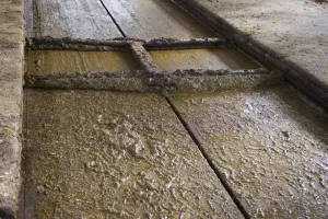 Housing Prints: Muck channel in shed on dairy farm, Sweden, june