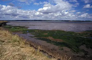 Mudflat Prints: Mudflats The Alde Mudflats at Iken - Suffolk Wildlife Trust
