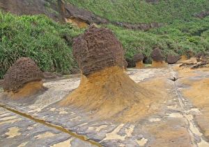 Mushroom Rock formations with honeycombed top, eroded coastal rocks on wave-cut platform, Yehliu Geopark