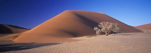Namibian Prints: Namibia Dune 45 on the road to Sossus Vlei, Tsauchab River Valley - Namib Desert, Namibia