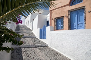 Slopes Prints: Narrow street with steps and painted houses