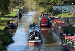 Water Ways Prints: Narrowboats on canal, Shropshire Union Canal