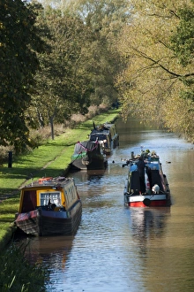 Narrowboats on canal, Shropshire Union Canal, Beeston, Tarporley, Cheshire, England, october