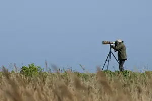 Photography Prints: Nature photographer using camera on tripod in coastal marshland