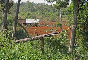 Deforestation Prints: New farm in forest after recent clearance, Dakdam Highland, Cambodia, January