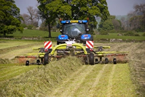 Cultivate Prints: New Holland tractor with Cls grass rake