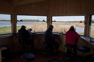 The New Island Mere hide at RSPB Minsmere, people looking west over reed beds