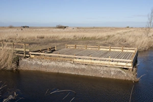 Environmental Prints: New pond-dipping platform in coastal marshland