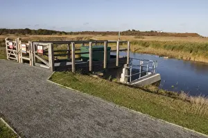 Gates Prints: North wall water control sluice gates at RSPB Minsmere Suffolk, looking north to Dunwich