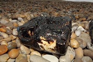 Pollution Prints: Oiled plastic container on beach, Chesil Beach, Dorset, England, july