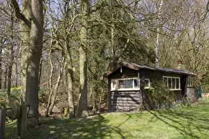 Bbird Prints: Old log cabin once used by woodsmen who maintained a mainly oak and hazel wood